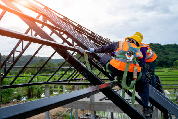 Best Gutter Installation and Roofing  in Las Quintas Fronterizas, TX